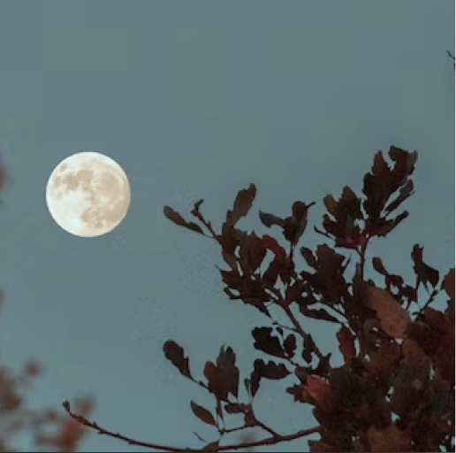 《小王子》｜治愈暖心的经典语录