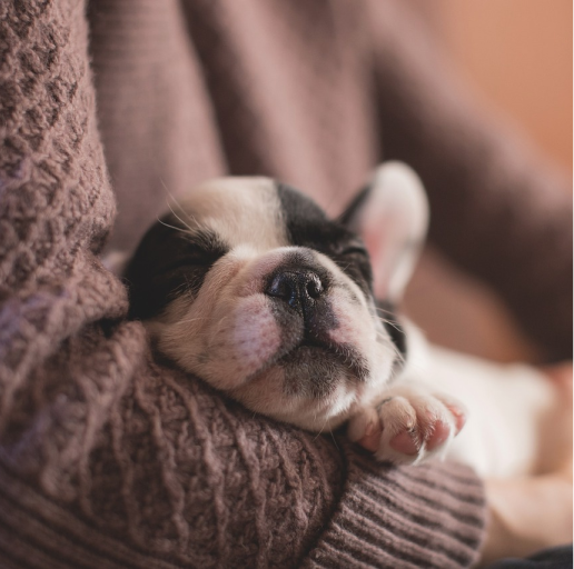 睡个好觉 | 适合在睡前看的温柔治愈文案