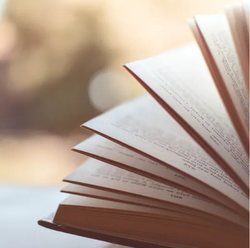 文学摘录 | 当作家们谈起友谊