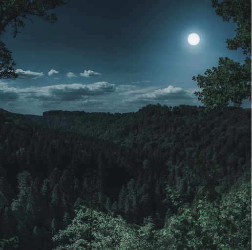 中秋特辑 | 心意满满的中秋短信祝福语