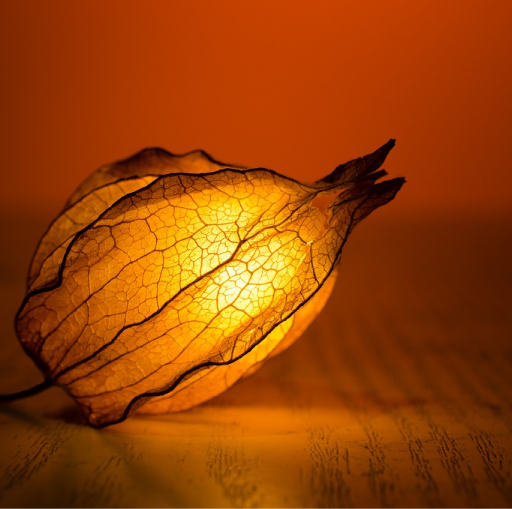 癫公癫婆必备的除夕搞笑文案