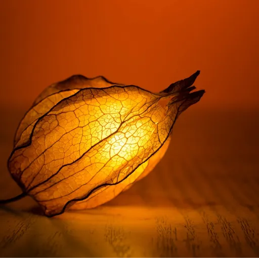 癫公癫婆必备的除夕搞笑文案