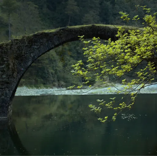 白居易丨平易诗风背后的独到匠心