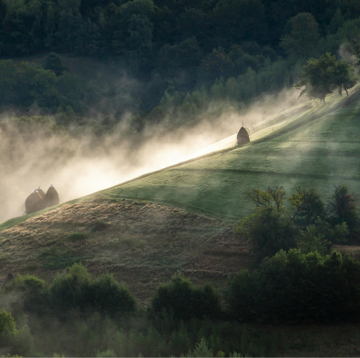 乡土文学丨麦田的低语和回响