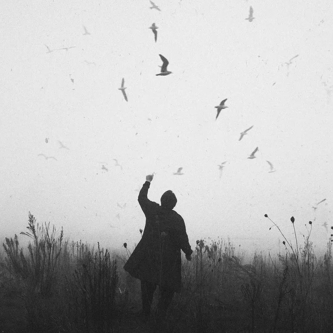 加缪｜加缪笔下的荒诞浪漫