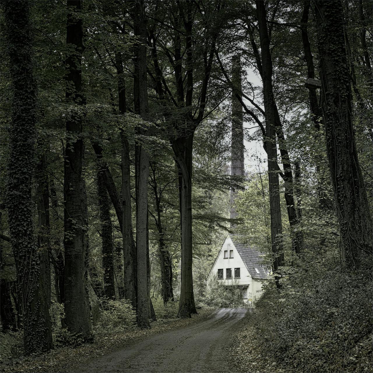 《病隙碎笔》| 史铁生深刻的生命体验和思考