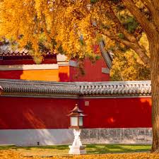 中秋国庆 | 双节同庆祝福文案