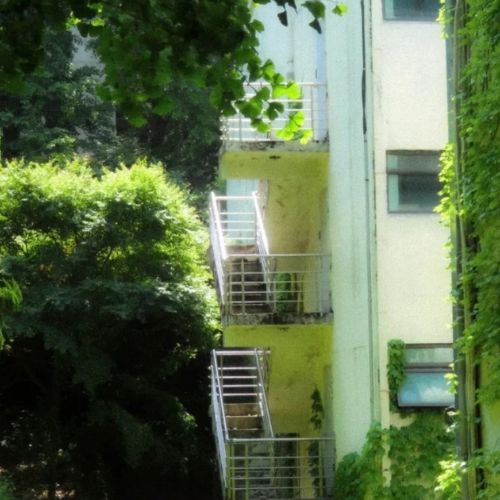 夏日歌词 | 来听音乐里的夏天