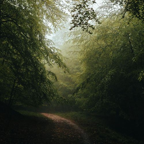 九月文案丨愿夏日遗憾，与秋色平分 