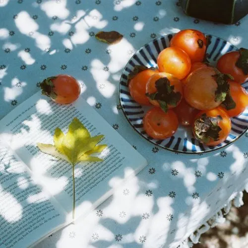 秋分 | 人间半秋，岁月无恙