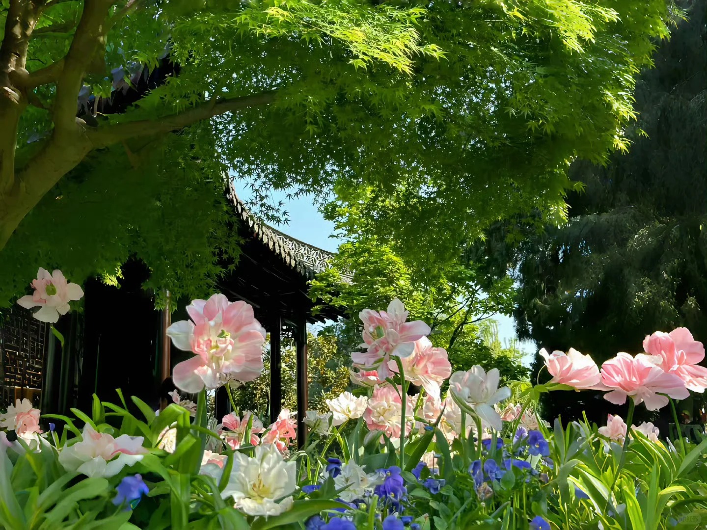 1000条给你力量的神仙句子（1）