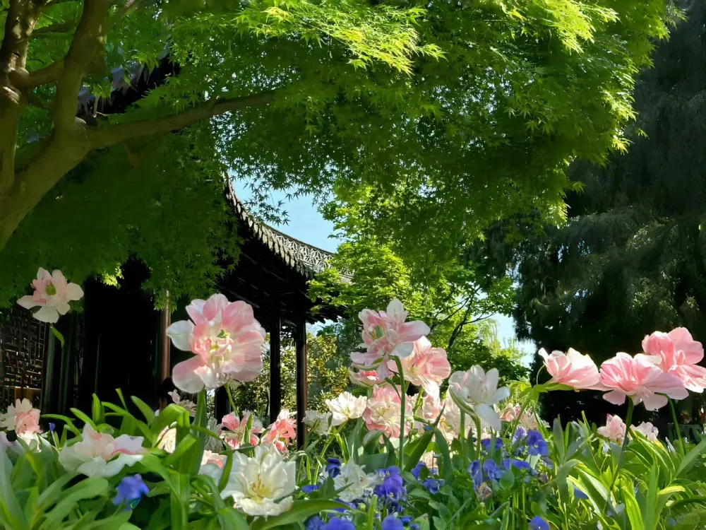 1000条给你力量的神仙句子（1）