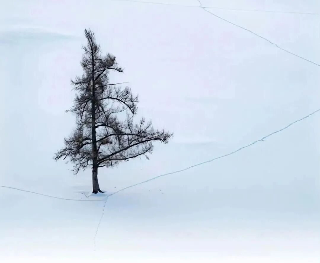 立冬｜藏秋实之丰，蓄冬藏之静