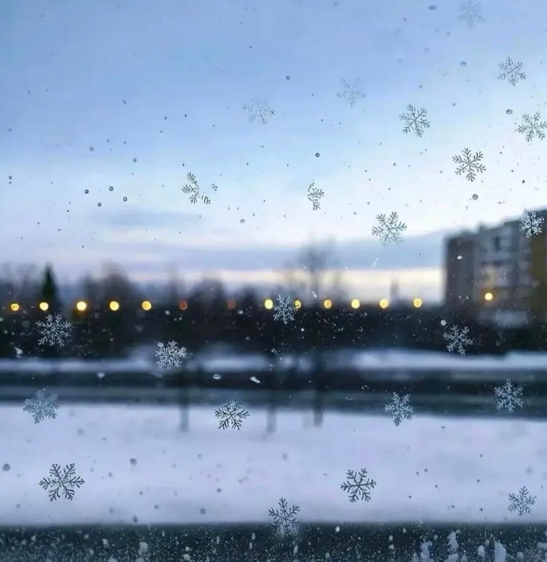 小雪 | 小雪衔冬来，霜轻雪未稠