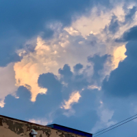 不得不承认的现实