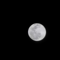 印在你脑海里的那个句子