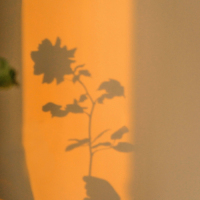 惊艳到你的句子