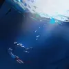 手机用户5279