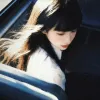 山茶花不开
