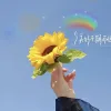 成长橘子