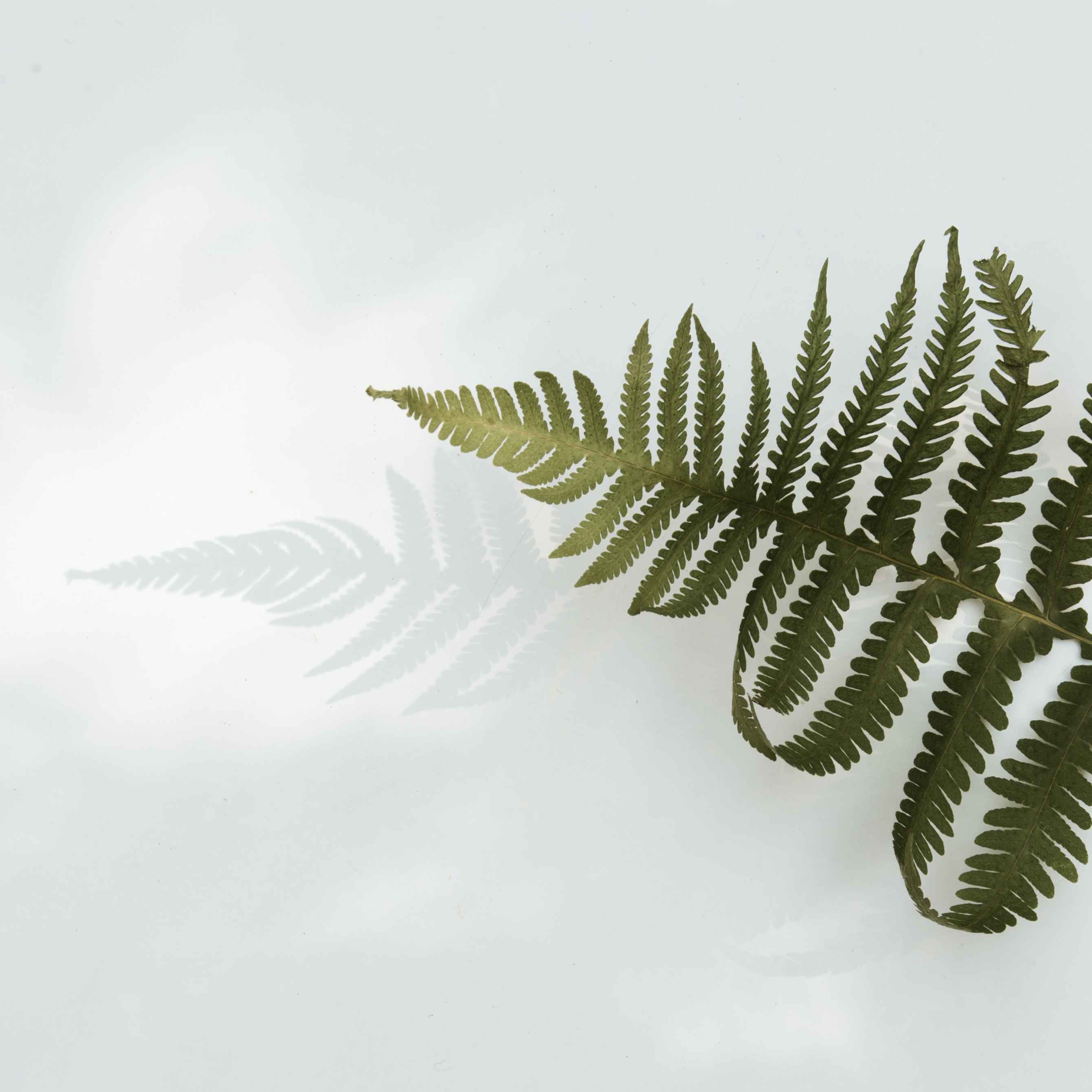 人民日报顶级文案