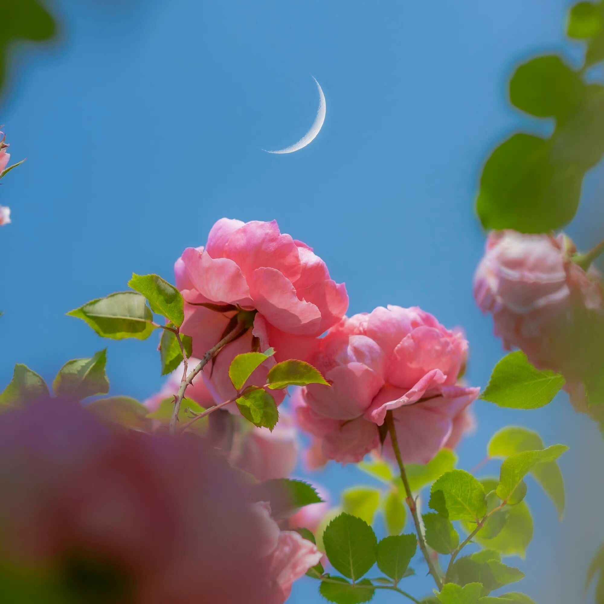 值得收藏的央视文案