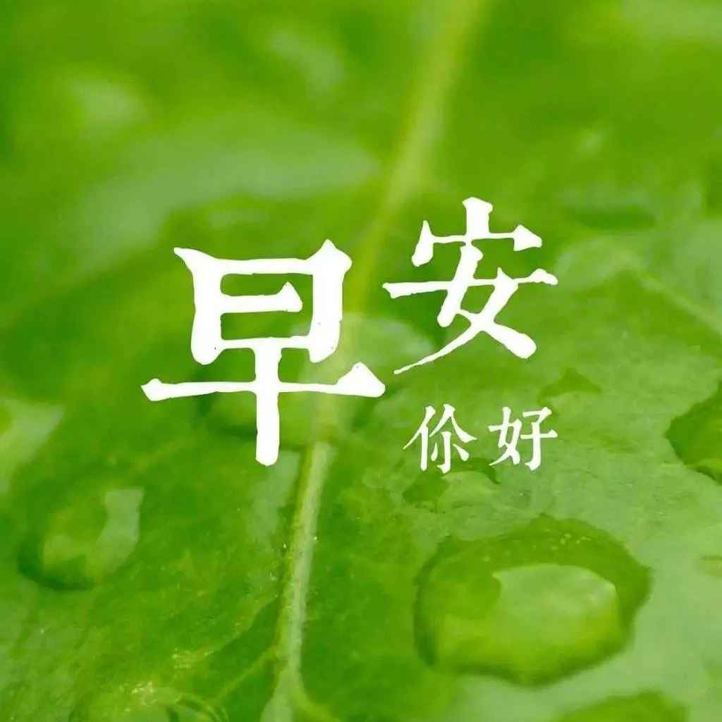 元气满满的早安文案