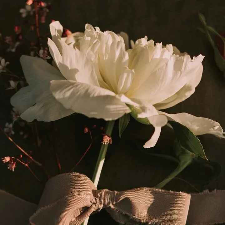 早安励志正能量语录