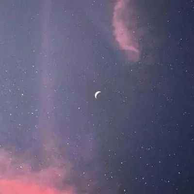 期末考试沙雕文案