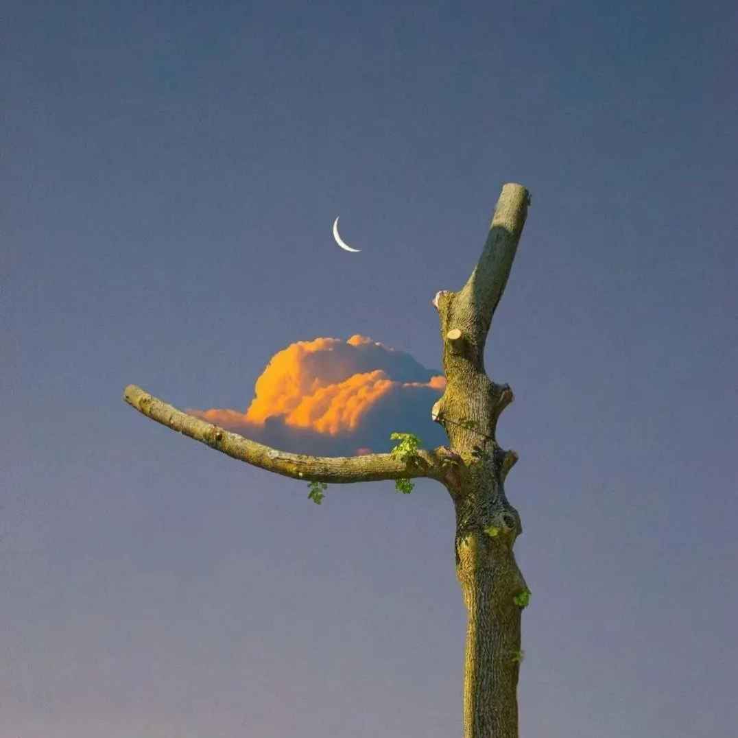 送给中高考考生文案