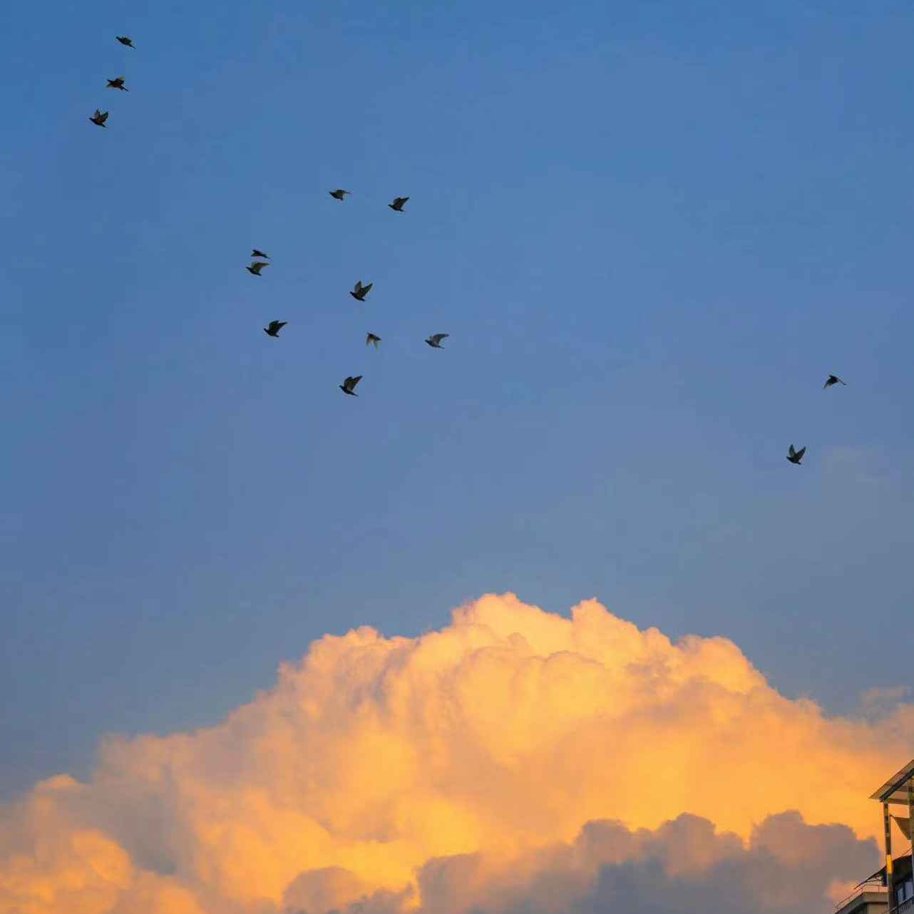 那些令人心动的夏天文案