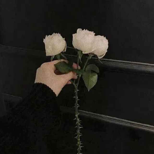 满是遗憾的伤感文案