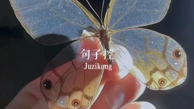 一些干净高级的短句（第1辑）