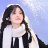 海上森林小奶猫