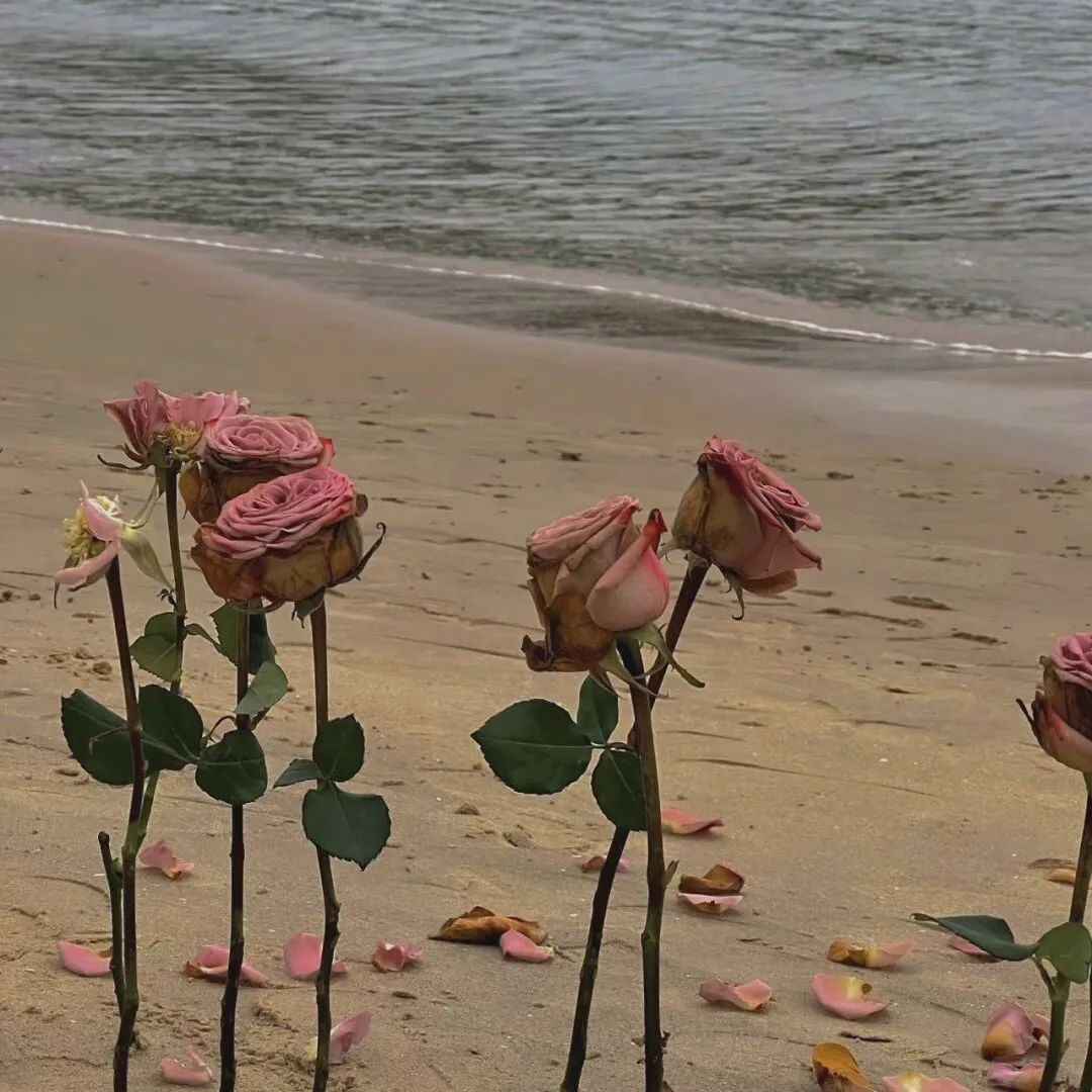 令人惊艳的情话短句