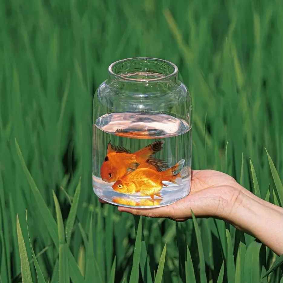 高级的微信置顶句子