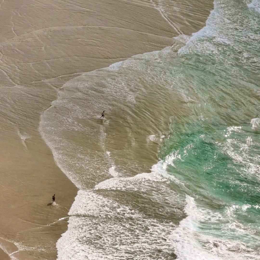 白露｜秋风悄至，琼露渐生