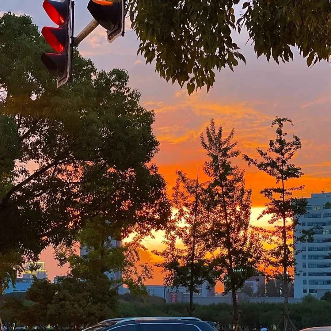 重阳节可以发的祝福文案