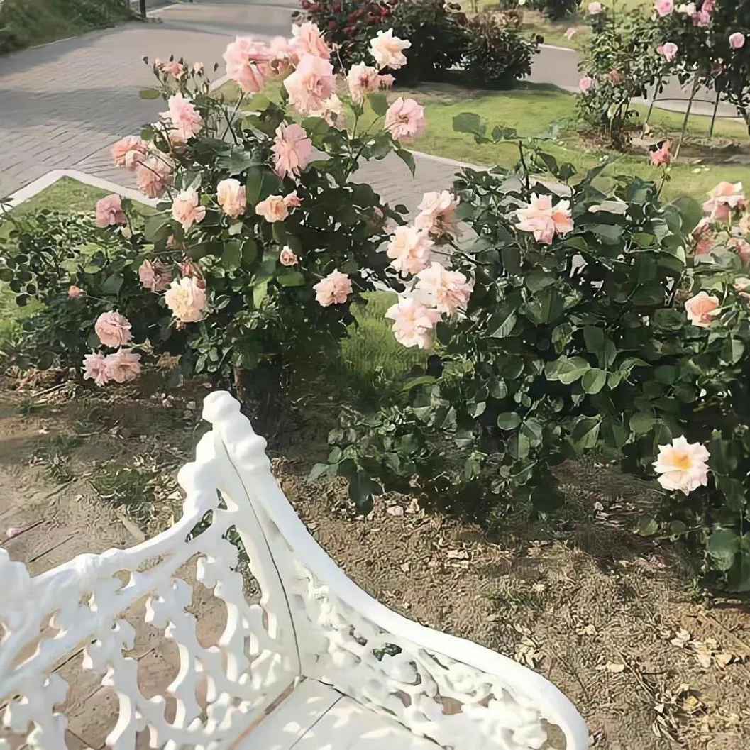 值得收藏的微信置顶文案