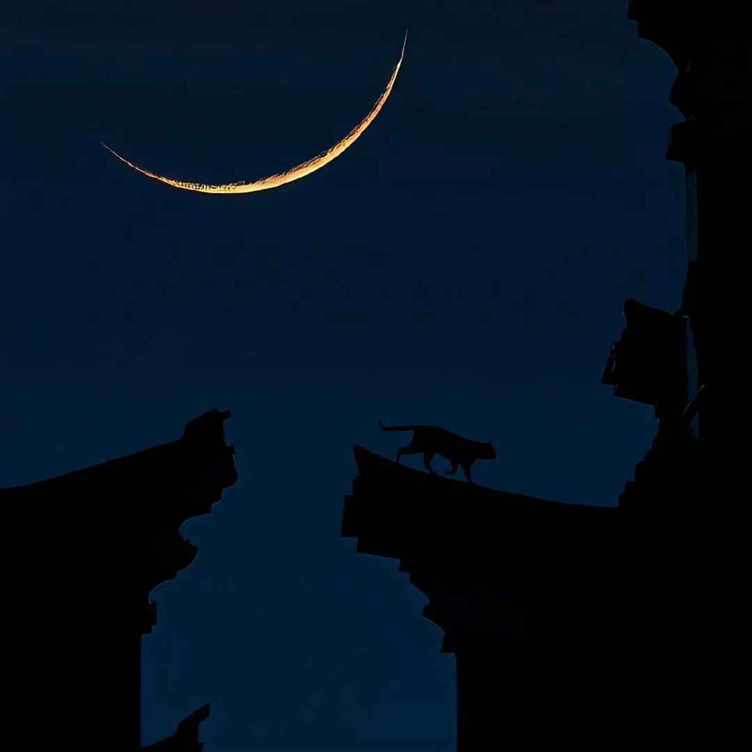 暗恋结束表达遗憾的句子