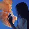 湙涵