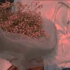 坠入星河