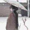 L.桉毅