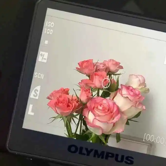 一定能用到的官宣文案