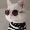 ♪凉尘✘