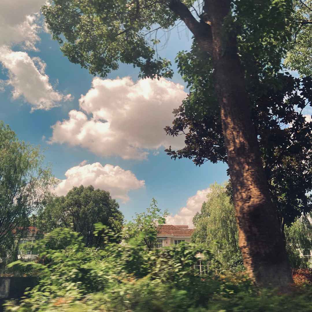 让人一眼沦陷的夏日文案