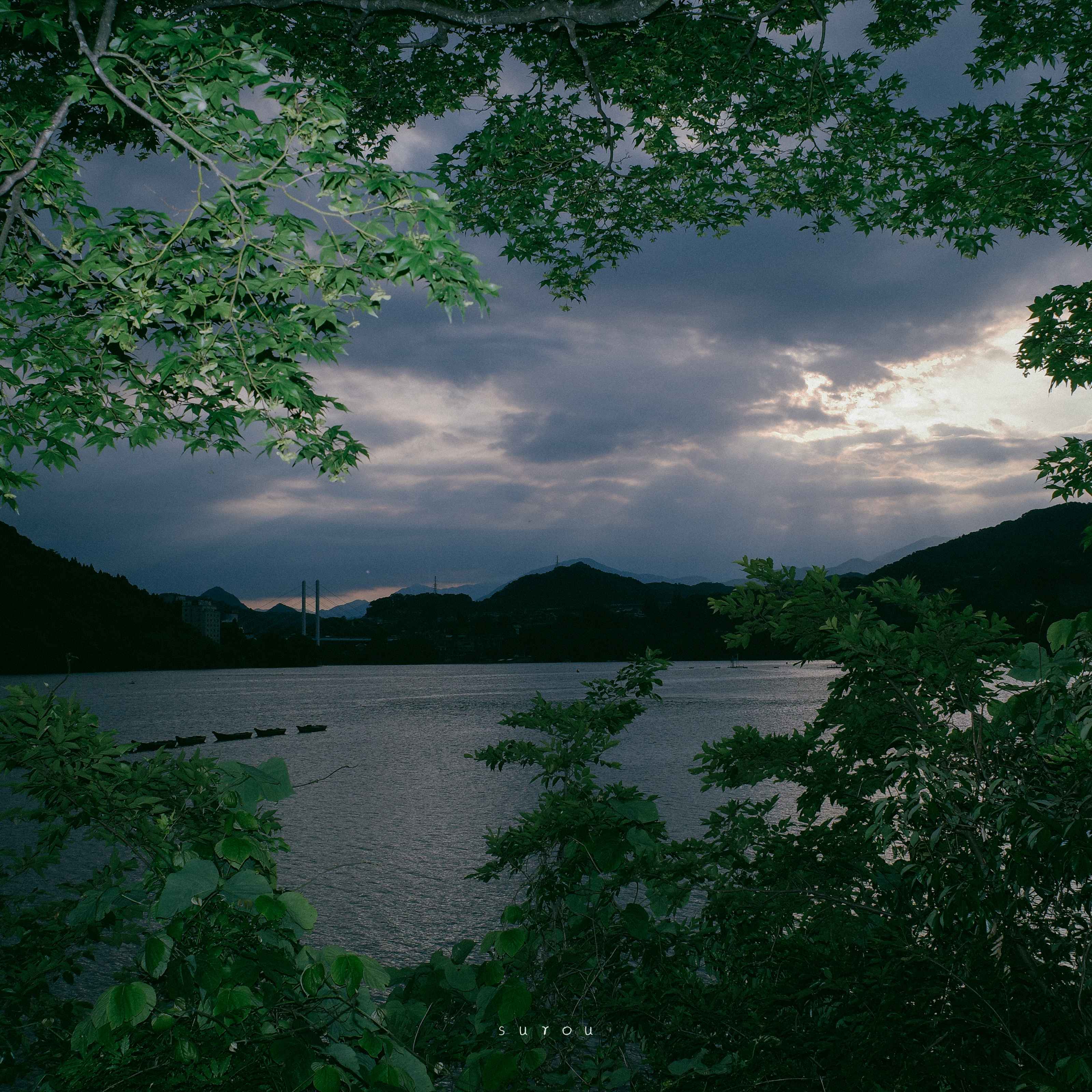 离别伤感的毕业季文案