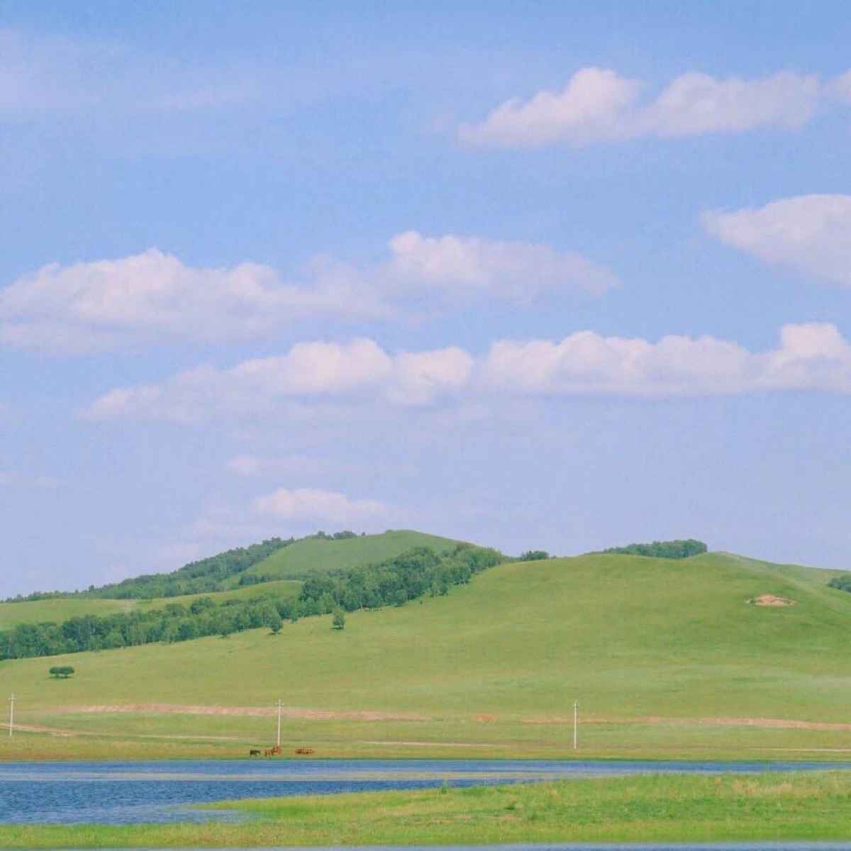 夏日主题品牌文案