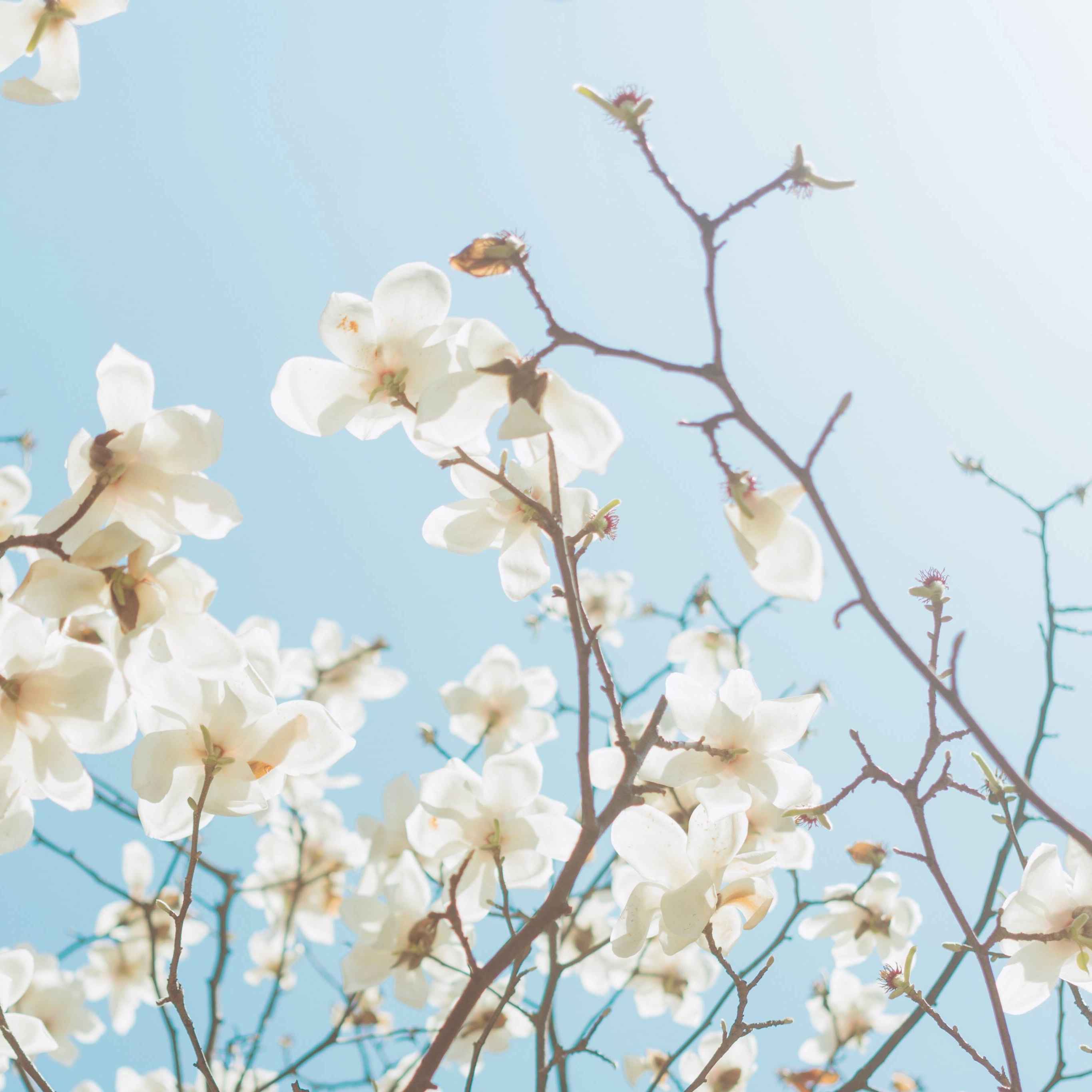 富有诗意的品牌文案