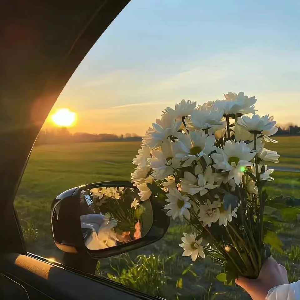 2022年精选品牌文案